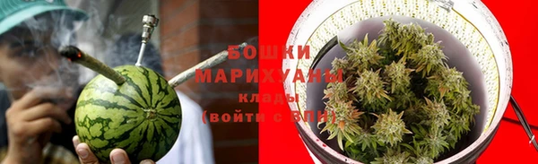 стаф Бронницы