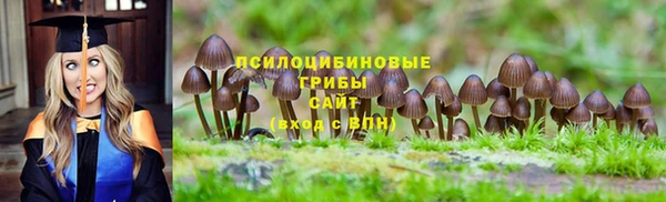 стаф Бронницы