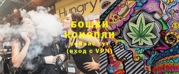 стаф Бронницы