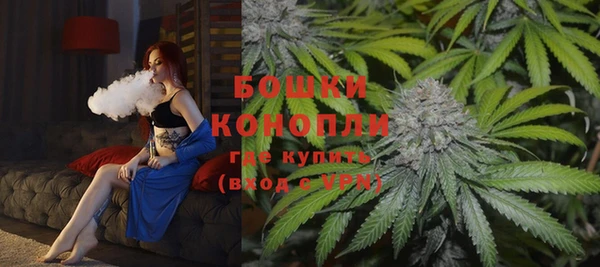 стаф Бронницы