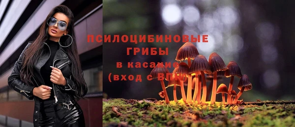 COCAINE Бородино