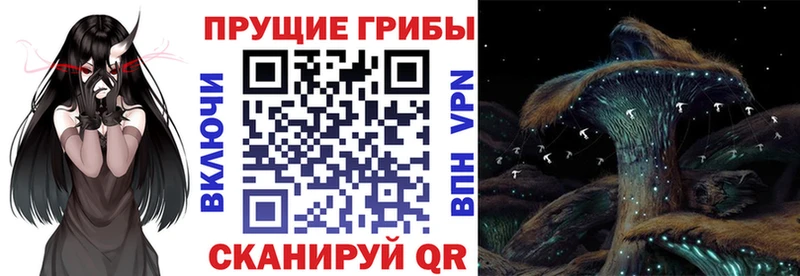 Псилоцибиновые грибы мицелий  Питкяранта 
